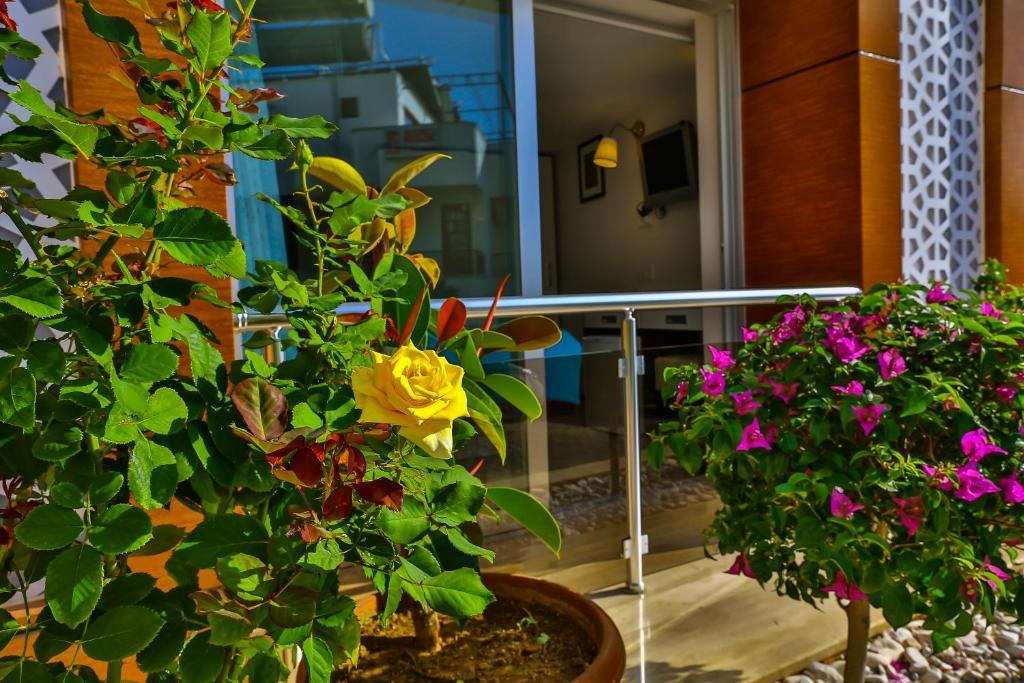 Sonne - Adults Only 3*